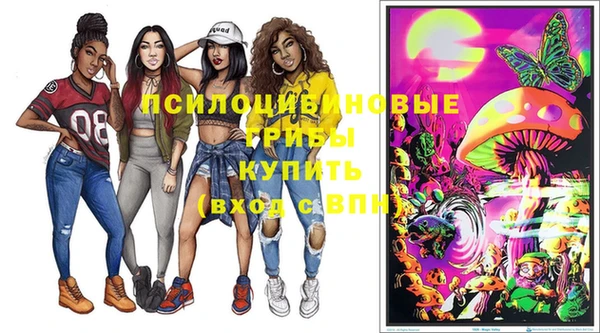 стаф Наволоки