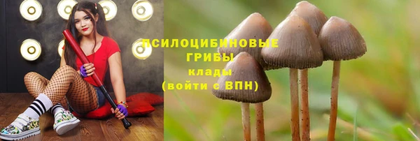 спиды Навашино