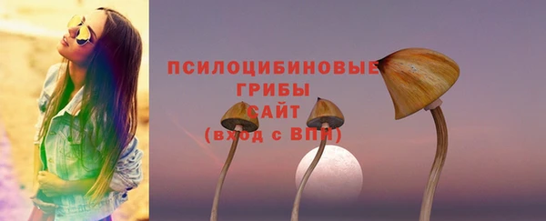 спиды Навашино